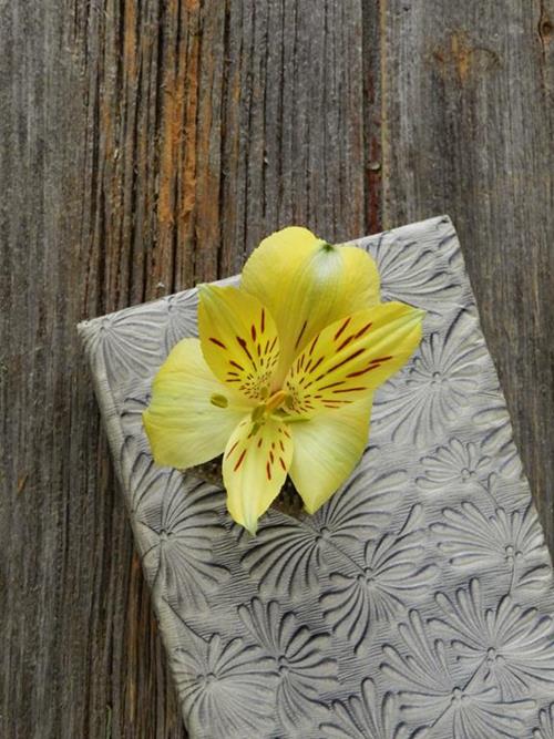 YELLOW ALSTROEMERIA